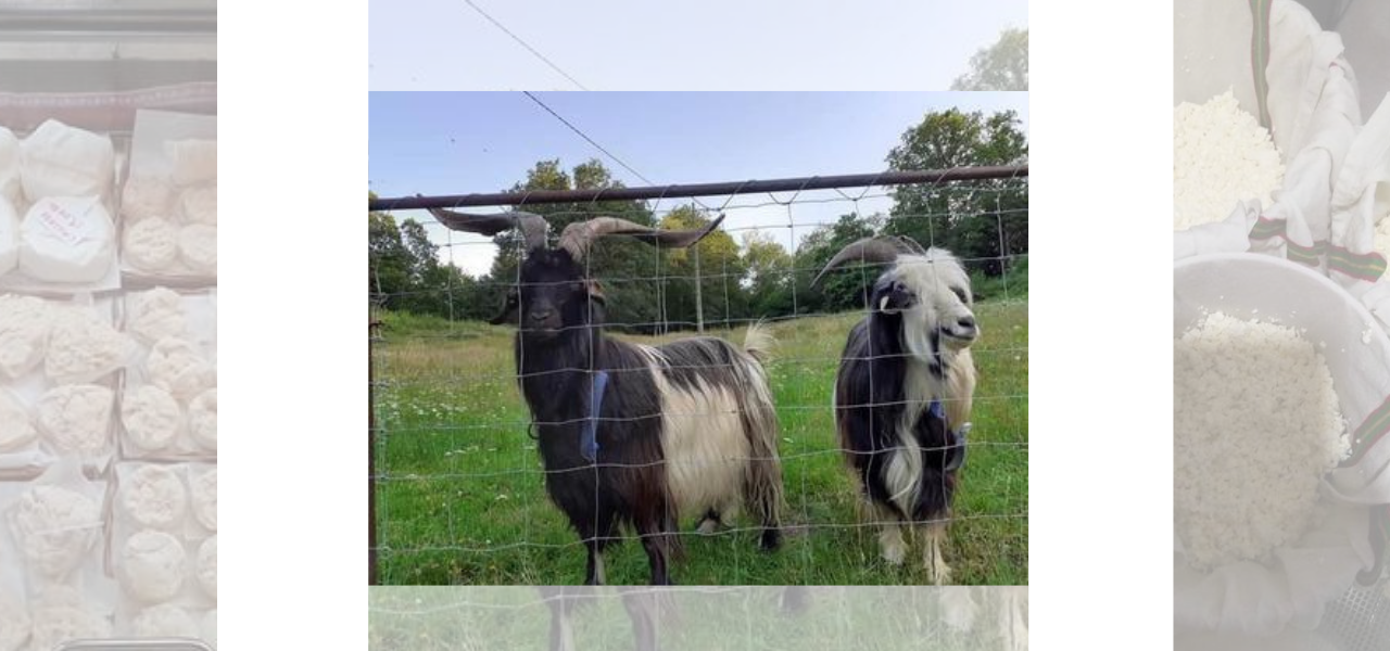 La ferme des deux yourtes