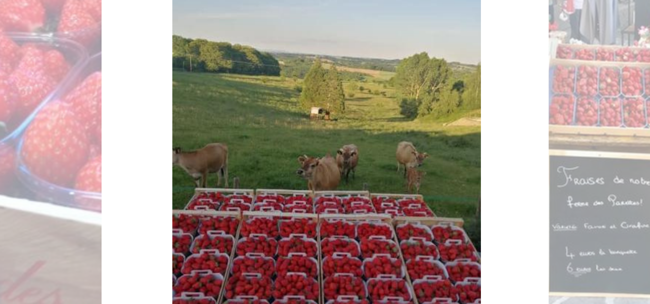 La Ferme des Parettes