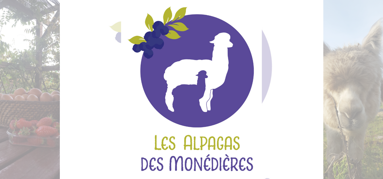 les_alpagas_des_monedieres
