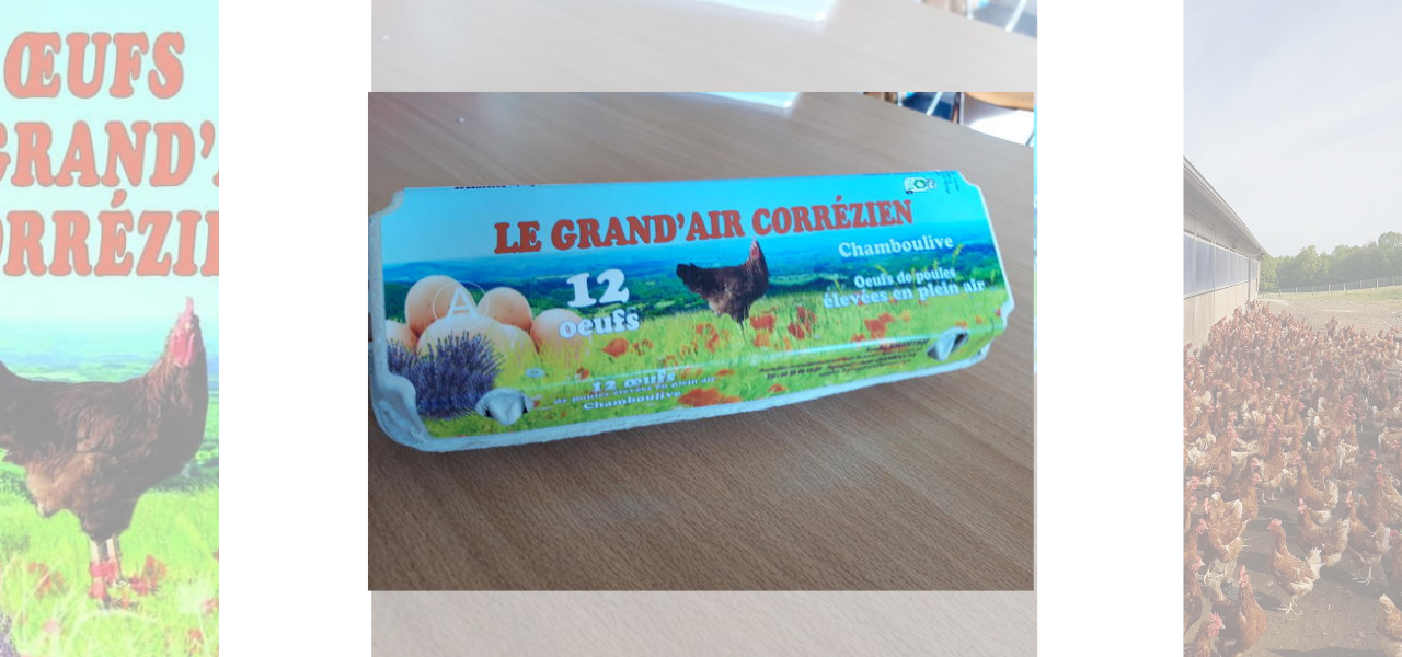 Les oeufs du Grand'Air Corrézien