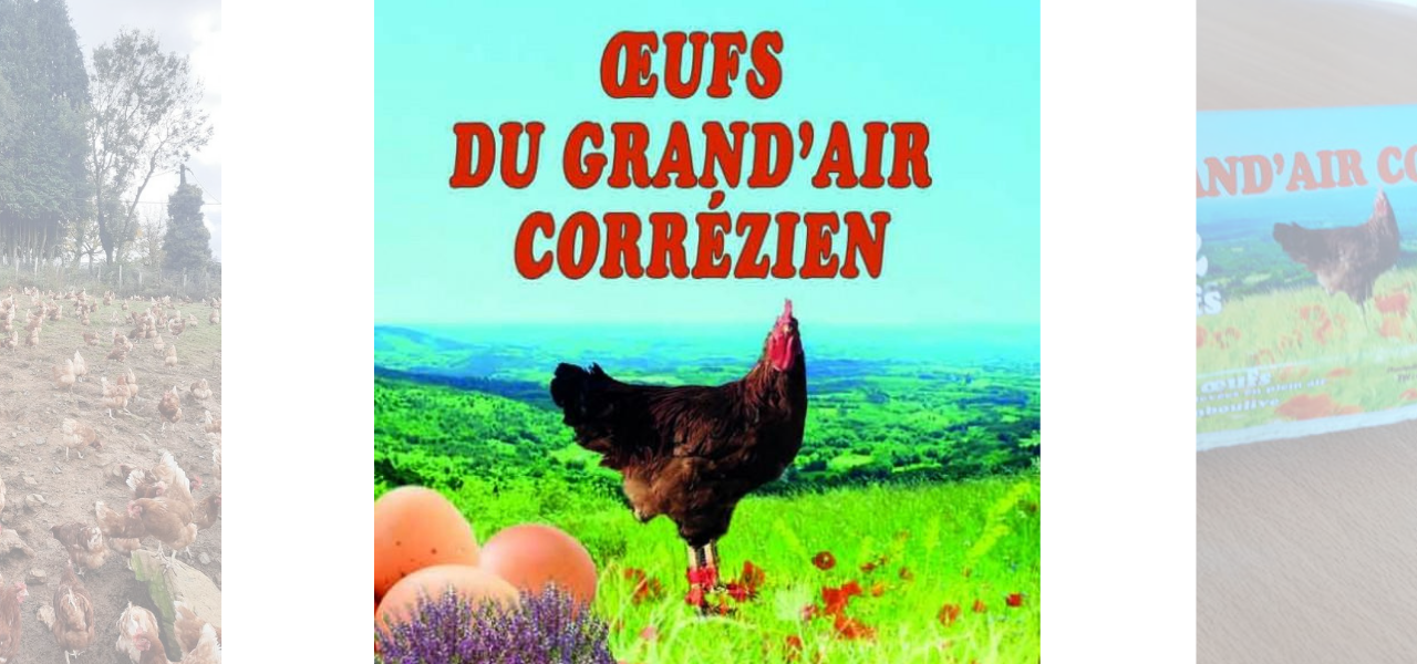 Les oeufs du Grand'Air Corrézien