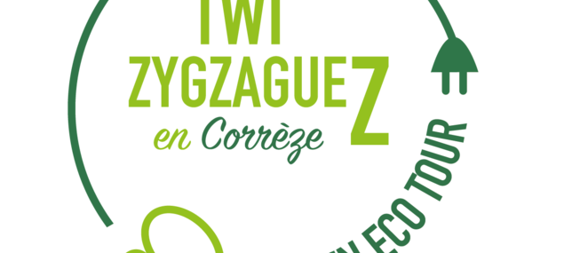 logo_twyzygzagyez