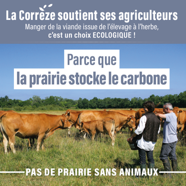 parce que l'herbe capture la carbone