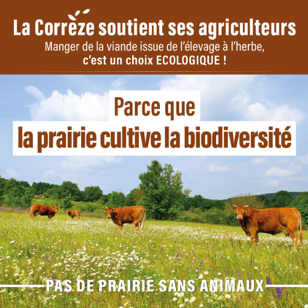 Parce que l'herbe fait vivre la biodiversit&eacute;