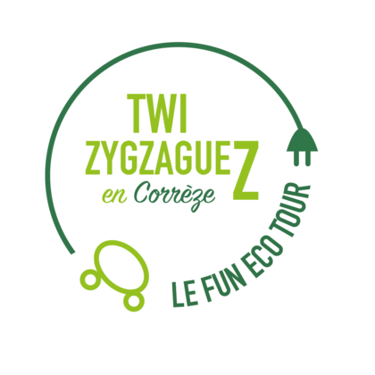 logo_twyzygzagyez