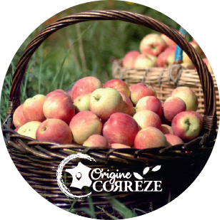 logo origine corrèze